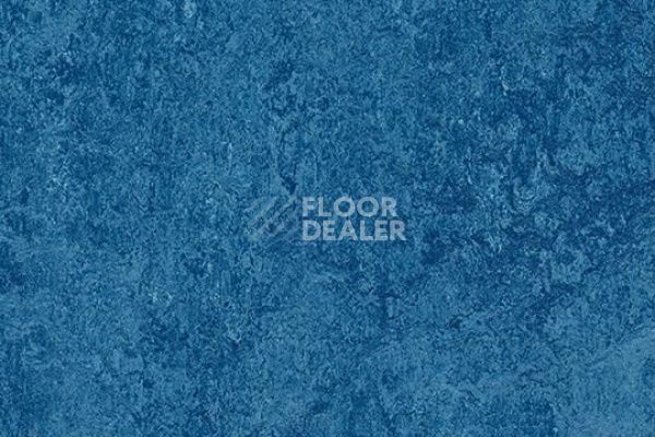 Виниловая плитка ПВХ Marmoleum Modular t3030 blue фото 1 | FLOORDEALER